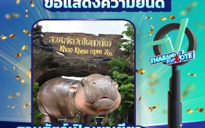 “Thailand Top Vote 2024” เผยผลโหวต 6 สาขา พร้อมมอบรางวัล 22 ม.ค.นี้