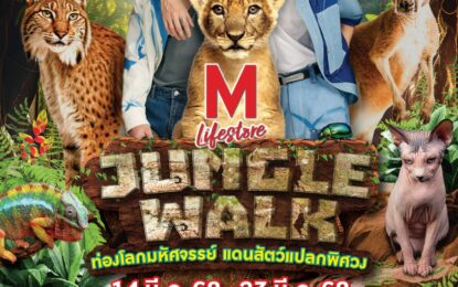 หยิ่น – วอร์ ชวนท่องโลกมหัศจรรย์ของสัตว์แปลกพิศวง ในงาน “THE MALL LIFESTORE JUNGLE WALK 2025”  ศุกร์ที่ 14 มี.ค. 68 เดอะมอลล์ไลฟ์สโตร์ บางแค